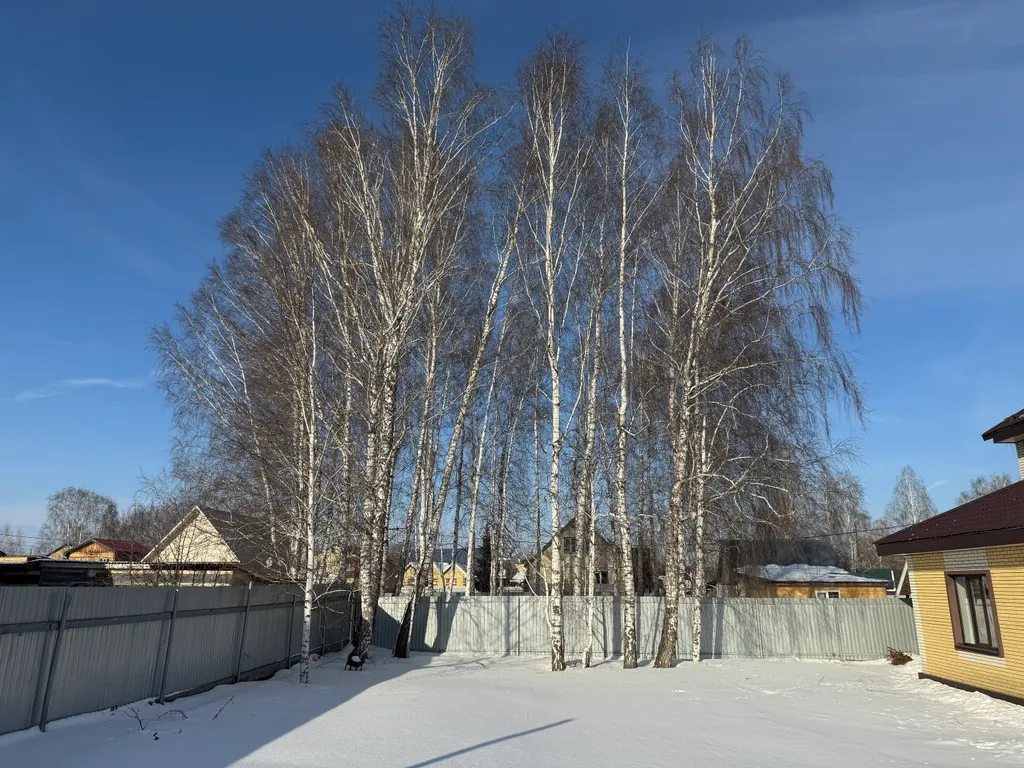 Дом с баней и чаном