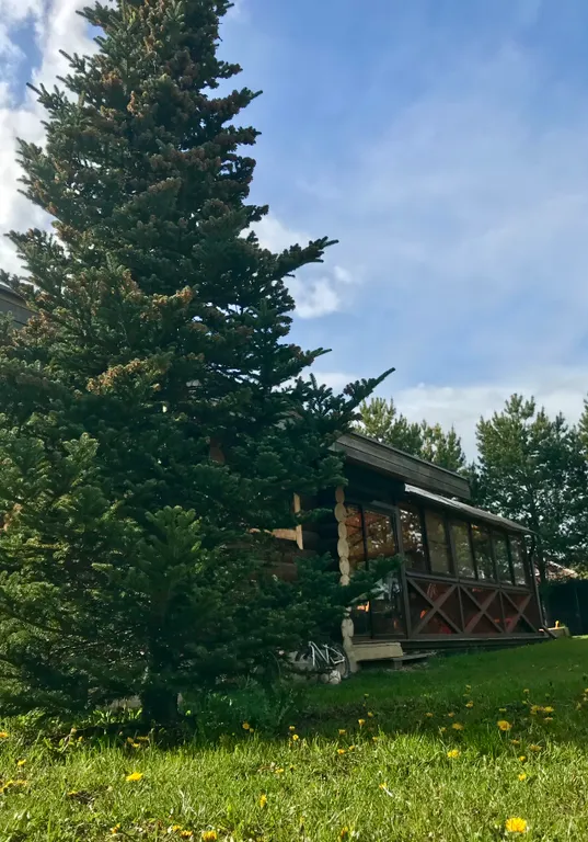 Загородный дом с русской баней на дровах