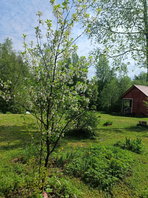 Апартаменты в коттедже на берегу озера