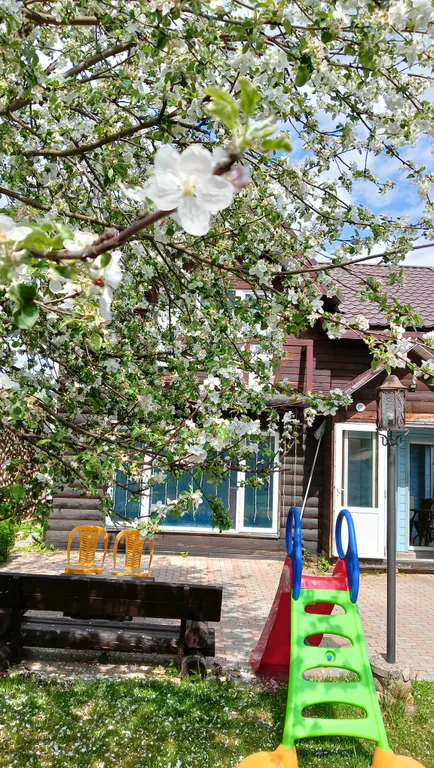 Дом-баня с бассейном