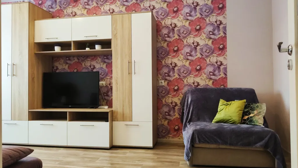 1-комнатная квартира с раскладным диваном и креслом