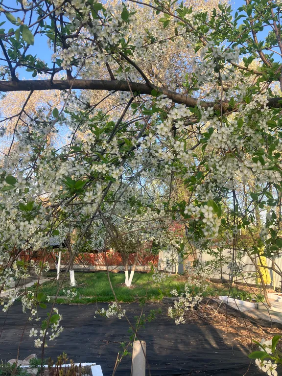 Трёхэтажный коттедж с сауной и бассейном в тихом заливе волги