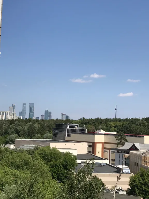 Квартира Светлая квартира рядом с метро Славянский бульвар — Москва