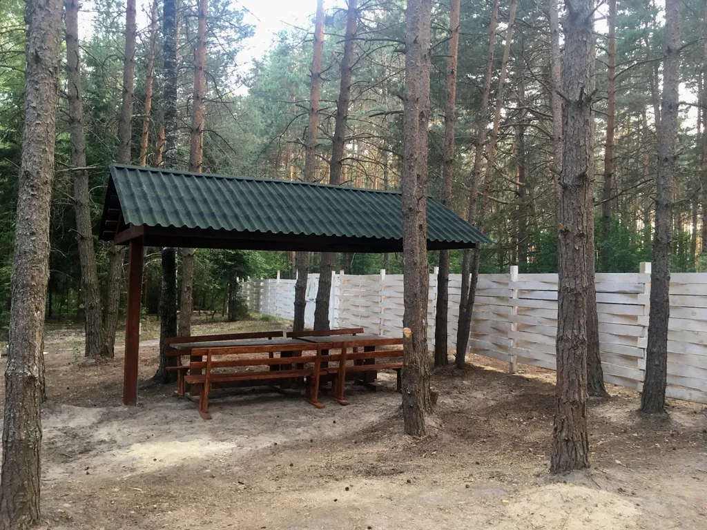 Дом в лесу на берегу реки Пра