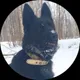 Юрий