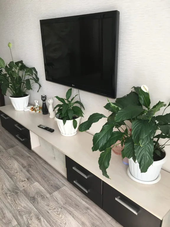 3-комнатная супер квартира