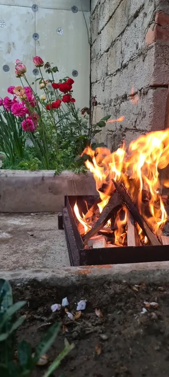 Дом, все в нем!