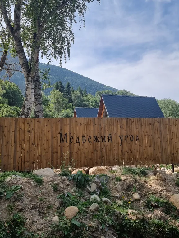 Живописный уголок в лесу вдали от городской суеты