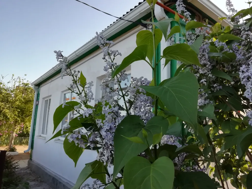 Уютный дом в зеленом дворе