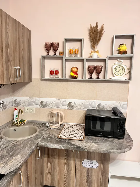 Уютная студия, в пяти минутах ходьбы от ЖД станции Звенигород