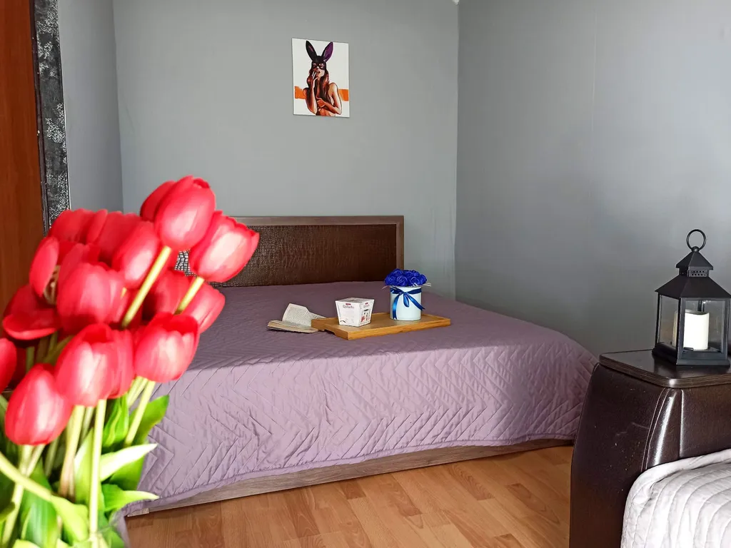 Квартира Уют на Адоратскогго — аренда посуточно в Казань