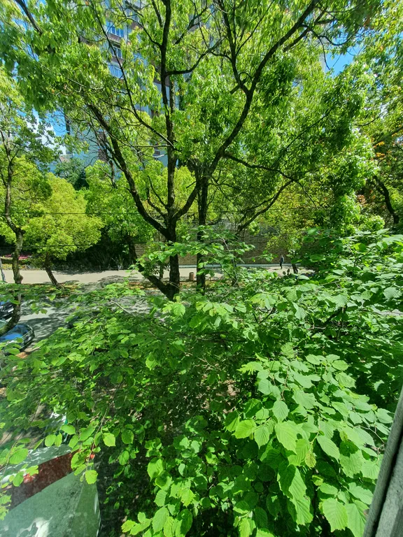 Однокомнатная квартира на Победе