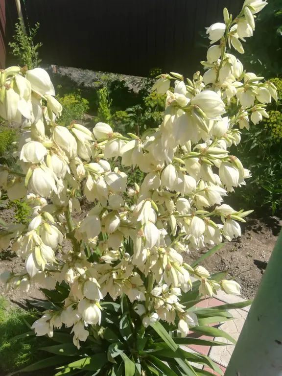 Квартира 1-комнатная Квартира — Ейск