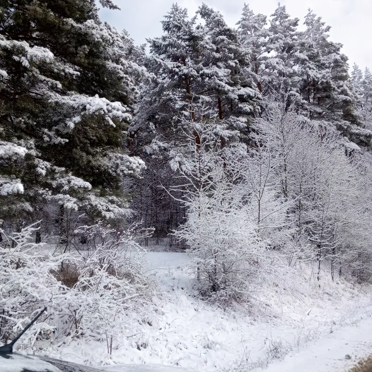 Коттедж Весь 2 этаж двухэтажного дома — Кисловодск