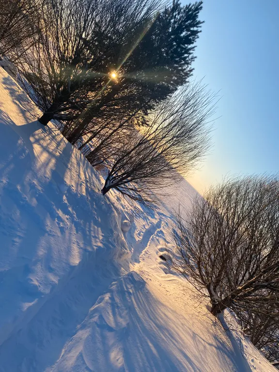 Озерный домик на Онего