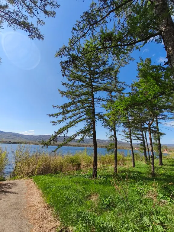 Квартира на берегу озера банное в лесной чаще из лиственниц