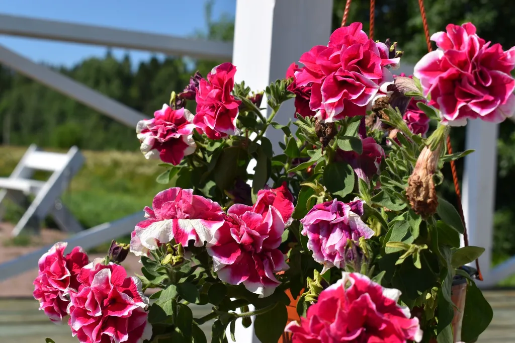 Домик на двоих Карелия