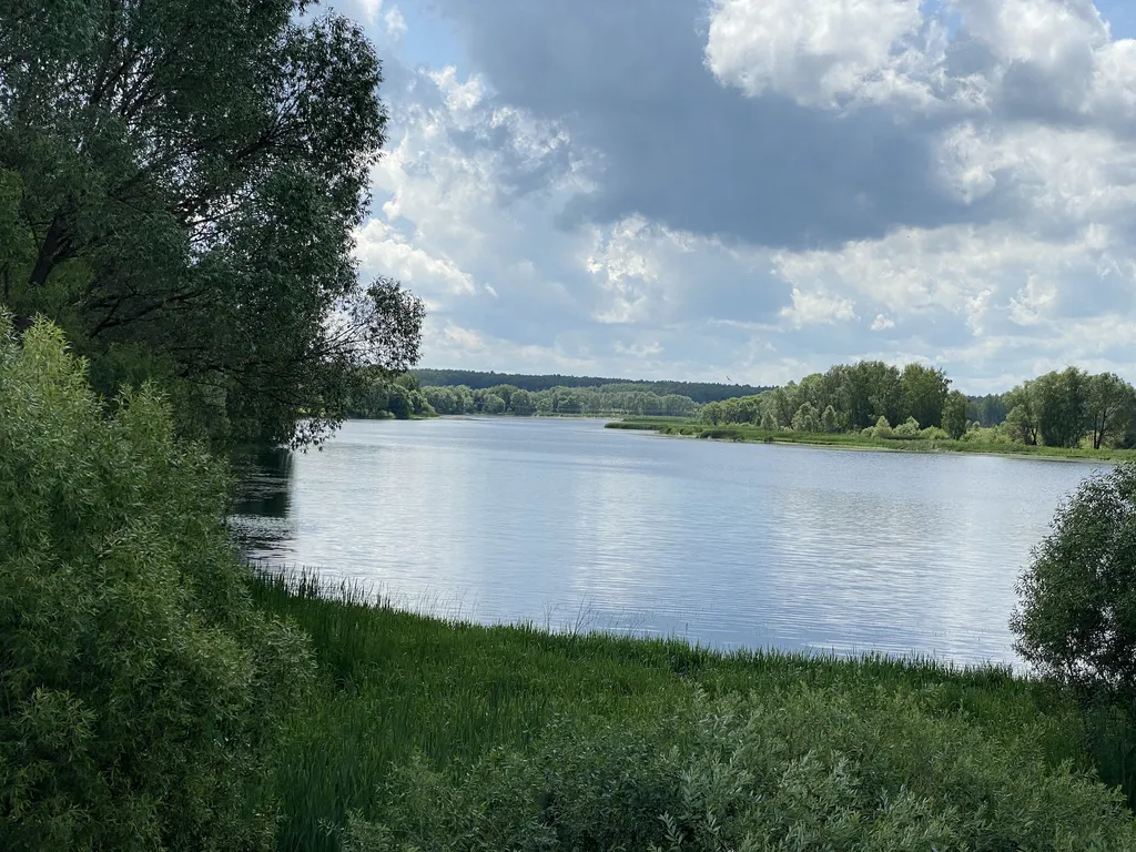 Домик ЧЕРНИКА. Большой пруд с пляжем в глэмпинге "Усадьба Ягодное".