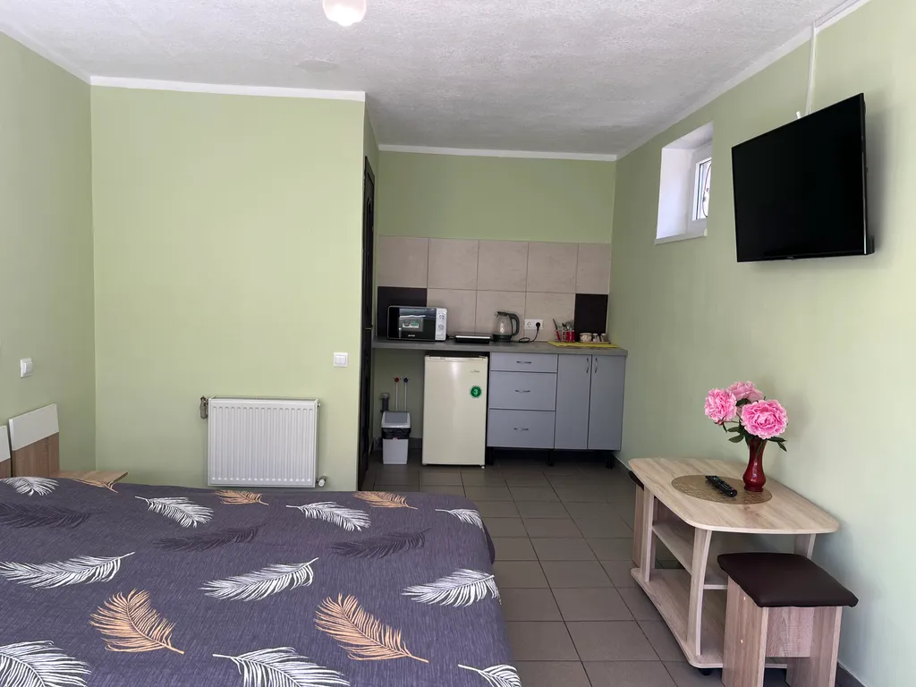 Квартира-студия в частном доме