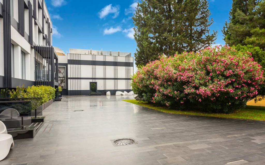 Апартамент Моне