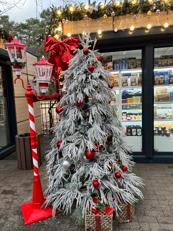 Квартира Уютная квартира у реки Преголя — Калининград