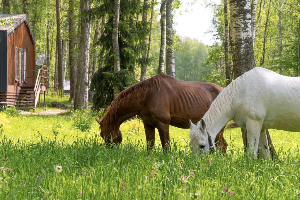 Малый коттедж с сауной