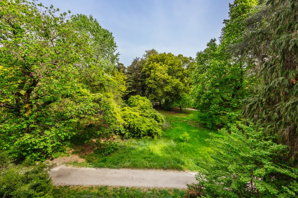 Квартира с видом на парк