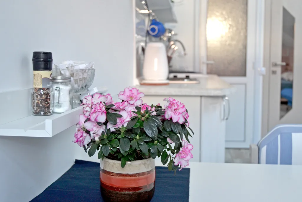 Квартира Квартира Студия на море-2 — Геленджик