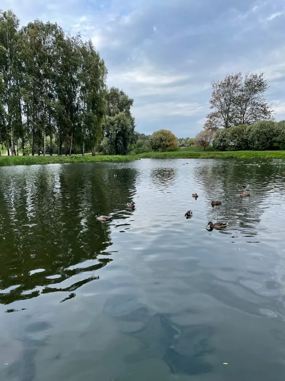 Просторная квартира в историческом центре города