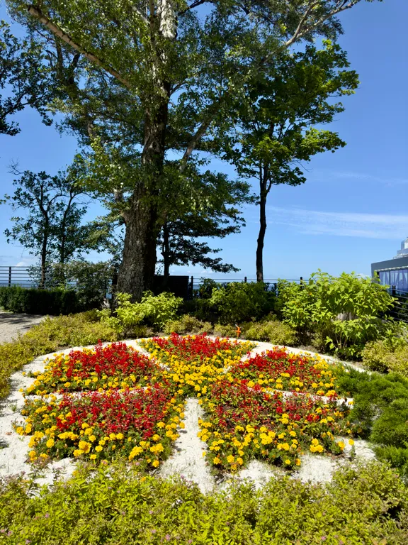 Уютная квартира в исторической части города