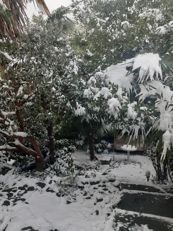 Коттедж Дом на море с уникальным интерьером — Зубова Щель