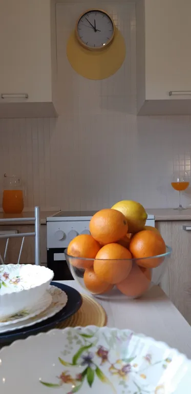 Просторная квартира с видом на лес