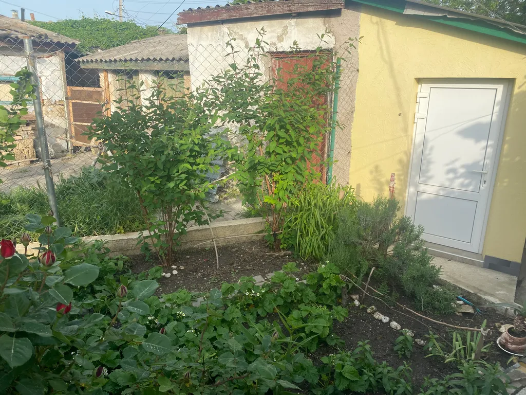 Уютный домик в центре