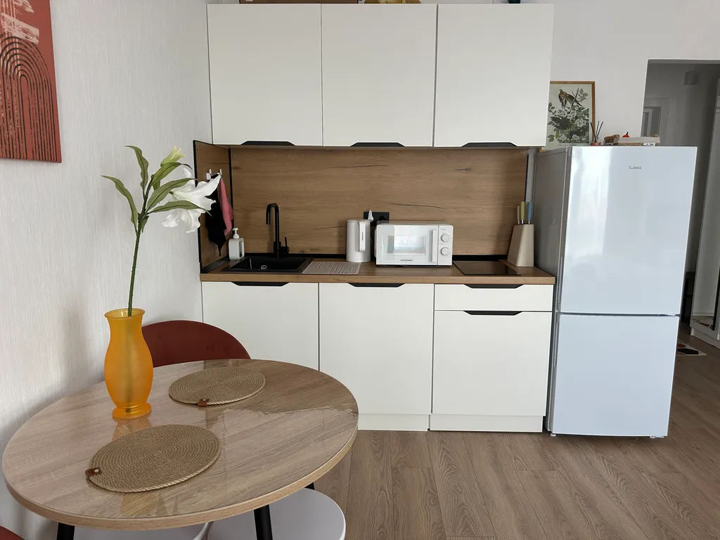 Студия рядом с Аэропортом Внуково