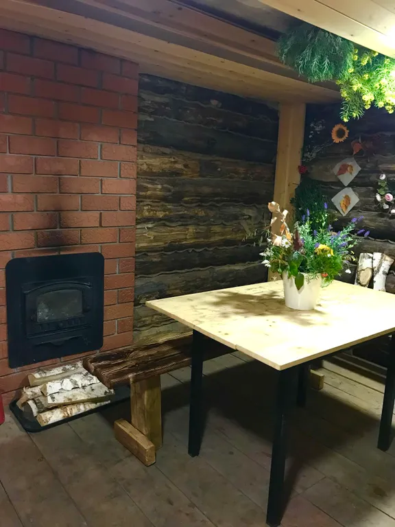 Кошкин дом в Комарово