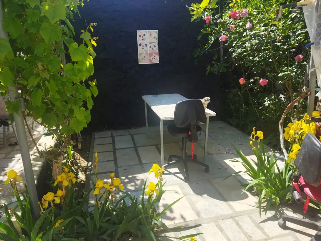 Комната с отдельным входом и двориком сдается женскому полу