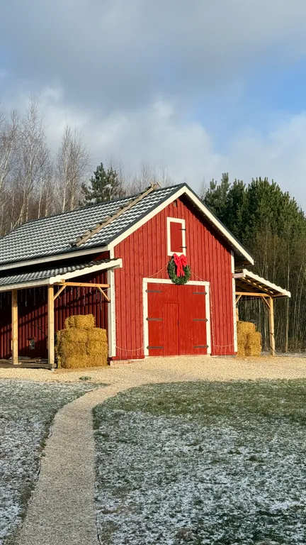 Уютный домик с горячей купелью, в окружении соснового леса
