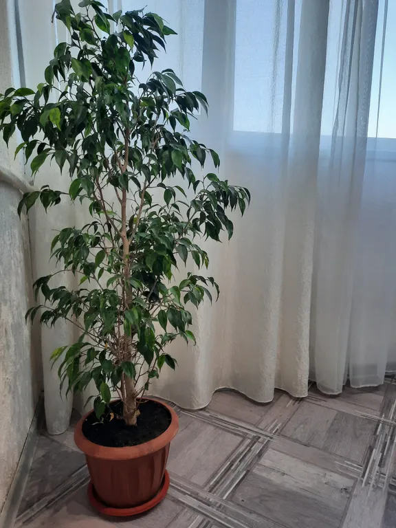 Уютная двухкомнатная квартира