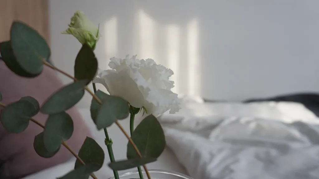 Стильная евродвушка в центре