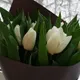 Элла