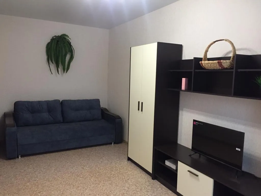 Квартира Однушка с евроремонтом и кондиционером — аренда посуточно в Воронеж