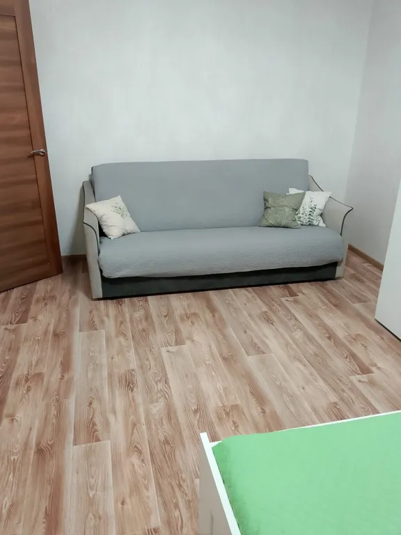 Уютные однокомнатные апартаменты Мандарин