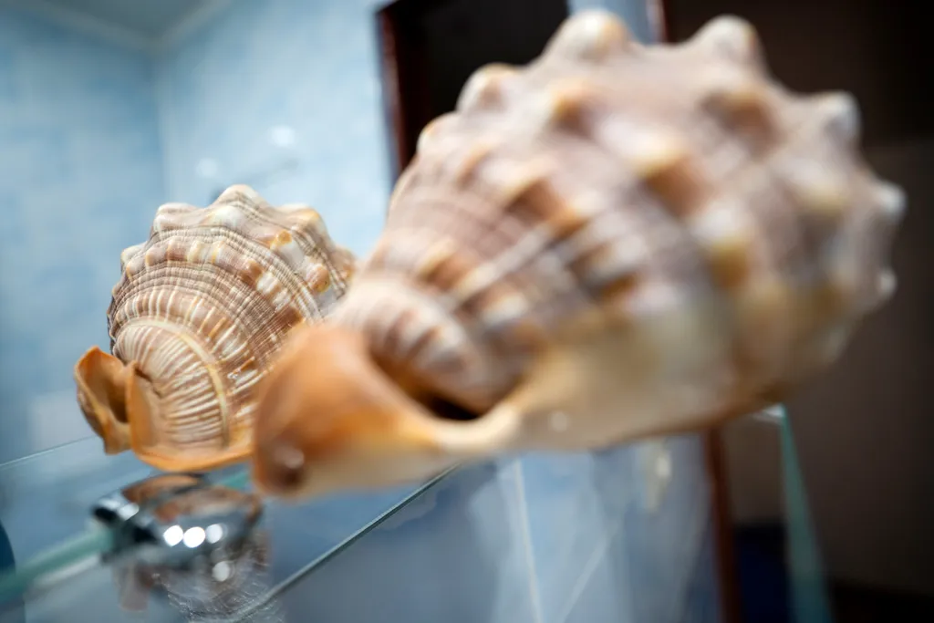 Набережная Черного моря