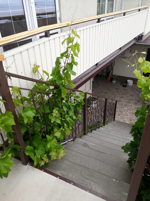 Отдых с видом на море