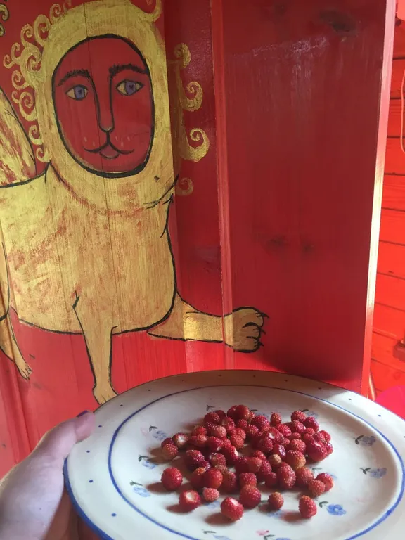 Вишнёвый домик в Махре