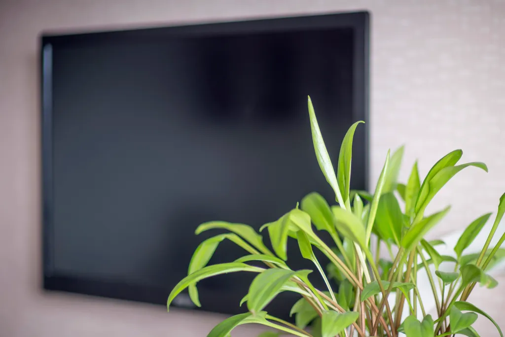 Квартира для семьи в исторической части города