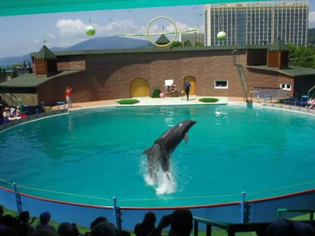 Квартира 1-комнатная Квартира — Адлер