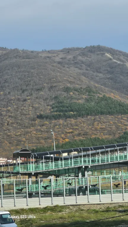 Квартира Квартира для большой семьи и компании — Геленджик