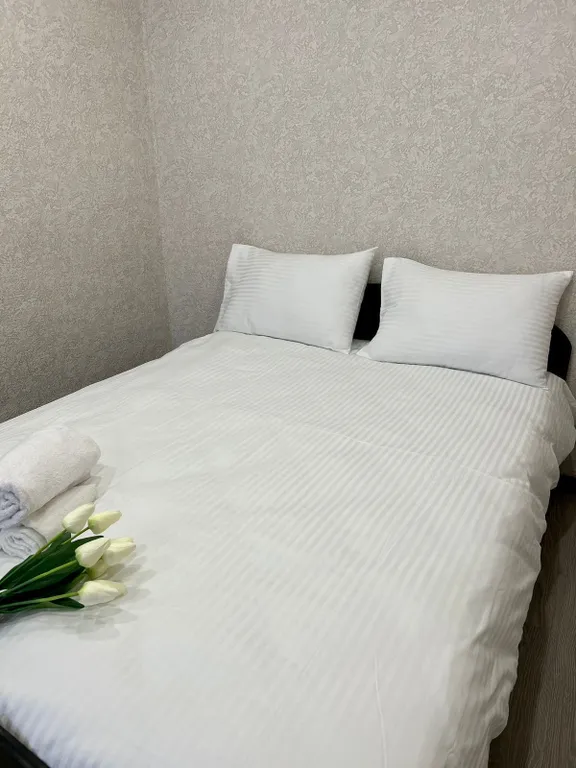 Уютная 2-комнатная квартира — аренда посуточно в Новокузнецк