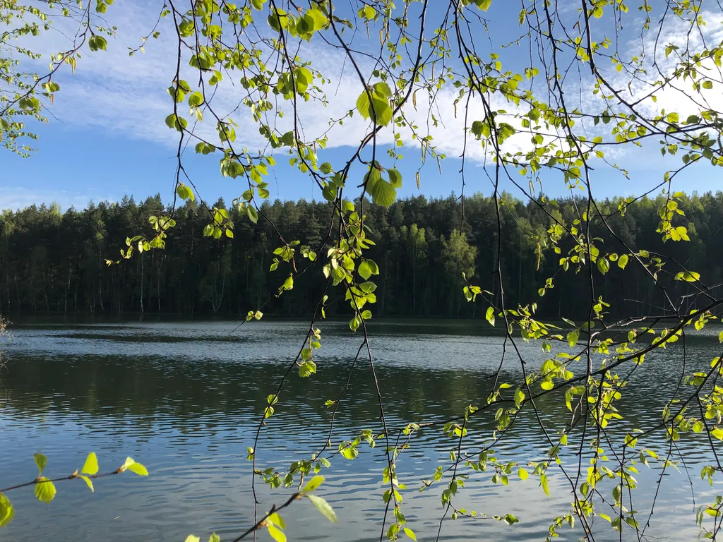 Дом у реки Лынтупка